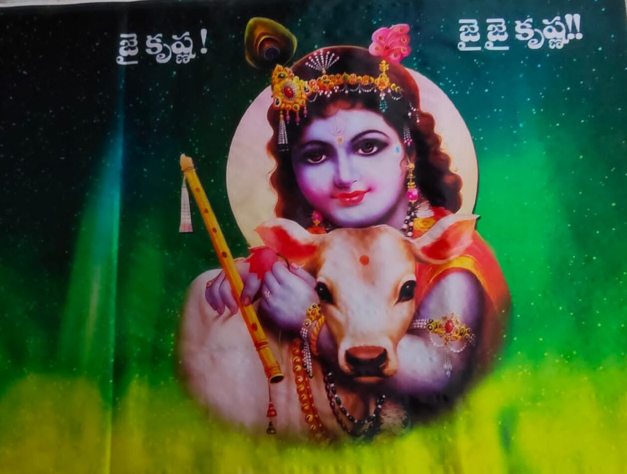 Digital flags Vaasu Digi Prints 11