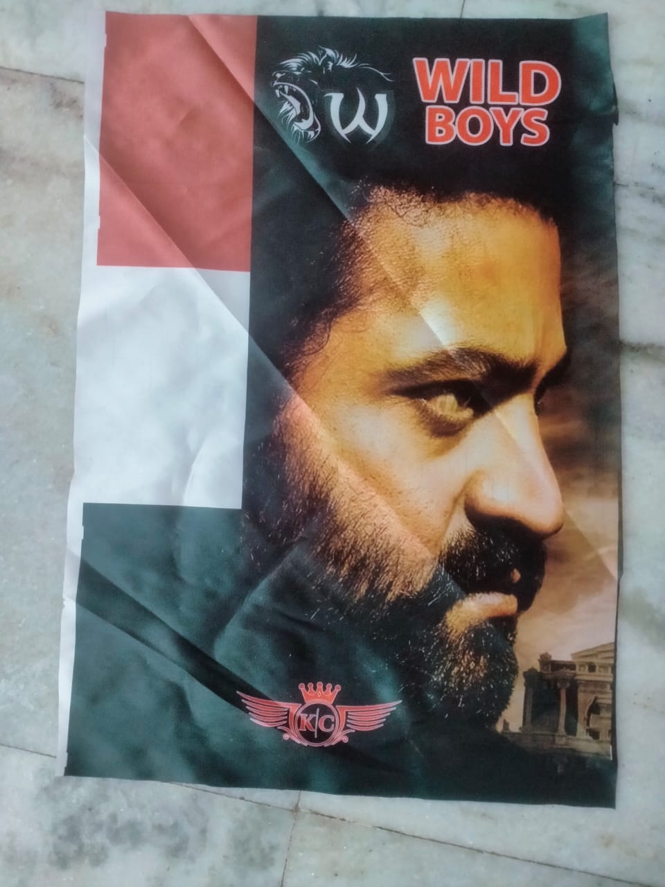 Promotional flags Vaasu Digi Prints 7