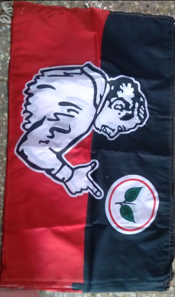 Silk Flags Vaasu DIgi Prints 10