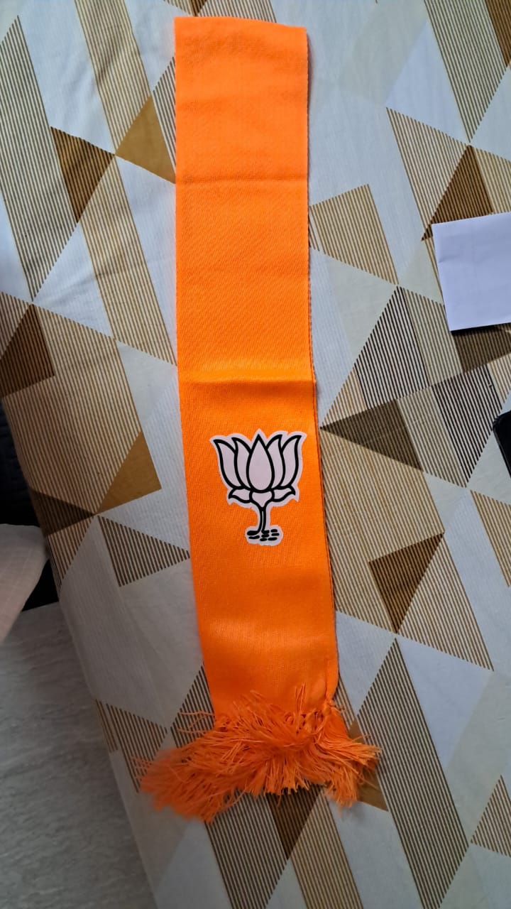 patka Kanduva Vaasu Digi Prints 3